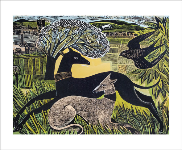 Angela Harding - Yorkshire Whippets