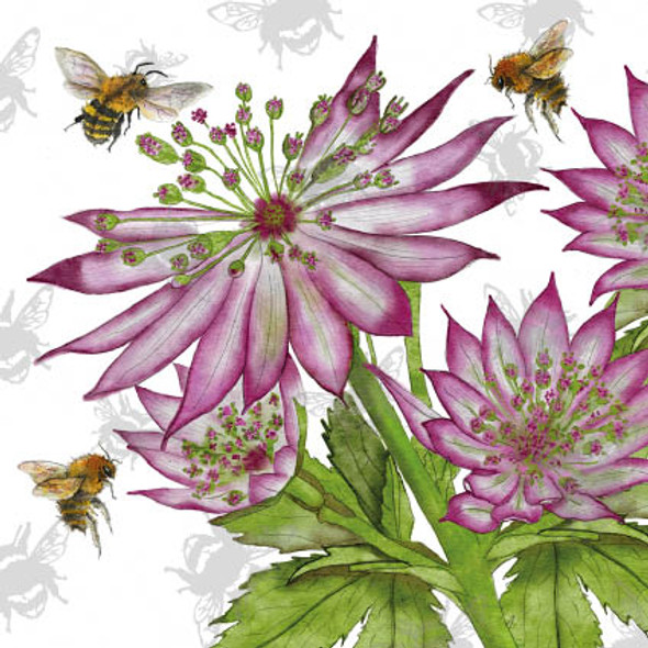 Bee-tanical - Astrantia (handfinished)