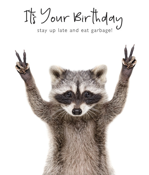 Animaltastic HB- Racoon