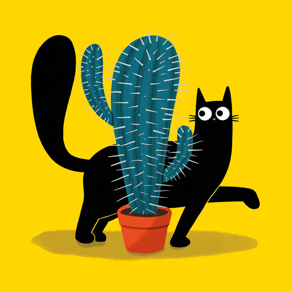 Catwalk HB- Cat & Cactus