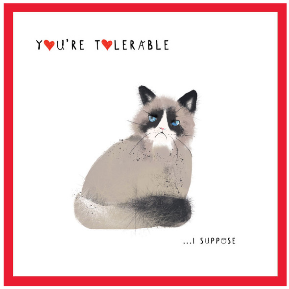 Valentine- You're Tolerable Cat