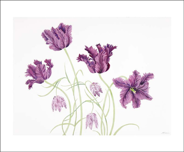 Angie Lewin- Parrot Tulips & Fritillaries