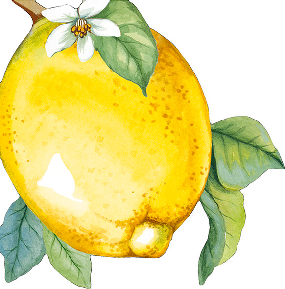 Cut-Out - Lemon (Pkt 12)