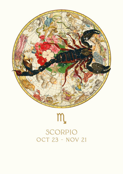 Zodiac HB- Scorpio (23 Oct - 21 Nov)