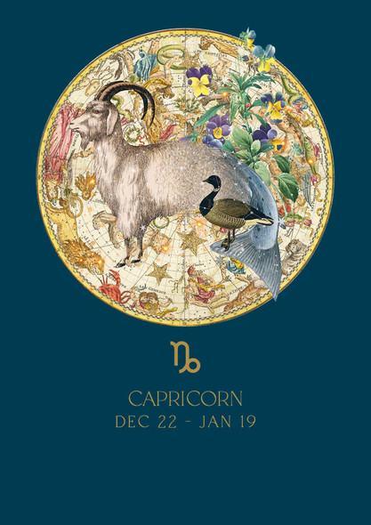 Zodiac HB- Capricorn (22 Dec - 19 Jan)
