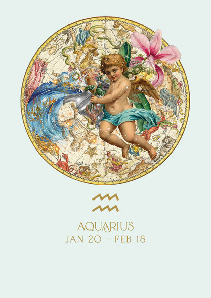 Zodiac HB- Aquarius (20 Jan - 18 Feb)