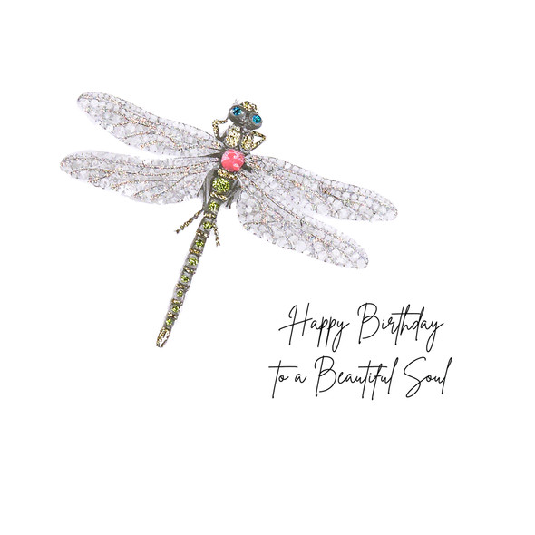 HB- Beautiful Soul Dragonfly