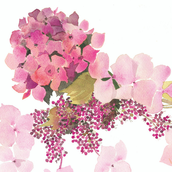 Jane Ormes- Pink Hydrangea