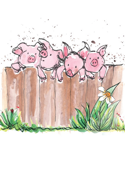 Pigs on the Fence