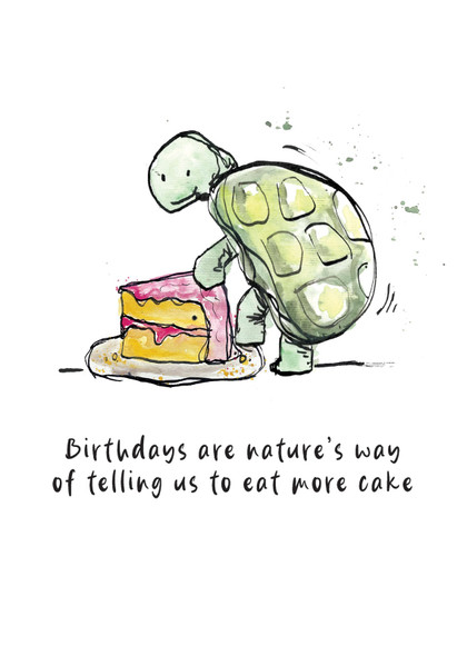 HB- Tortoise and Cake