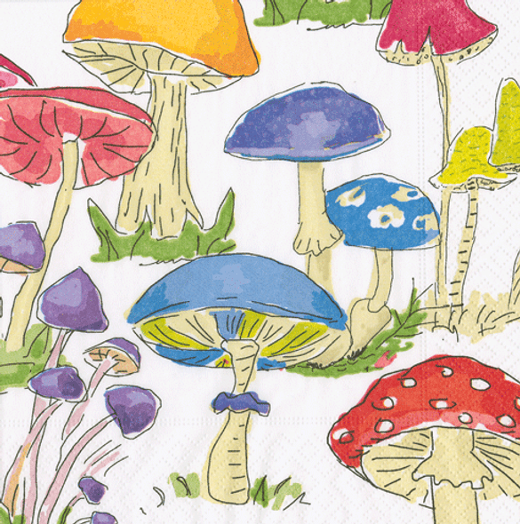 Dana Gibson - Woodland Mushrooms