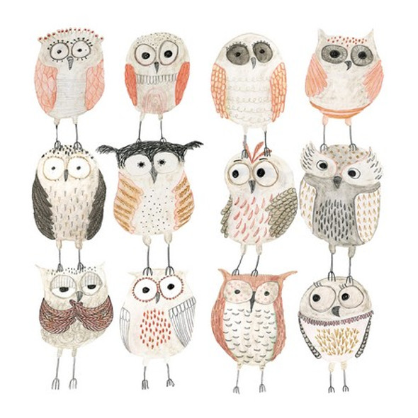 Owls