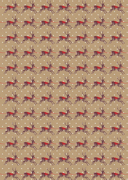 Wrap - SALE-Reindeers 500x700mm