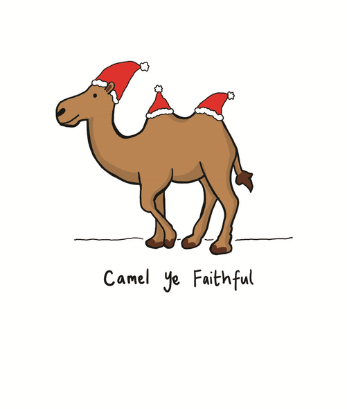 Camel Ye Faithful 