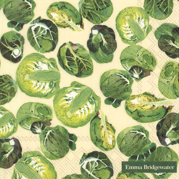 SALE - Emma Bridgewater Sprouts