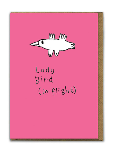 Ladybird In Flight