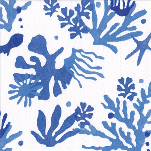 Matisse Coral - Blue