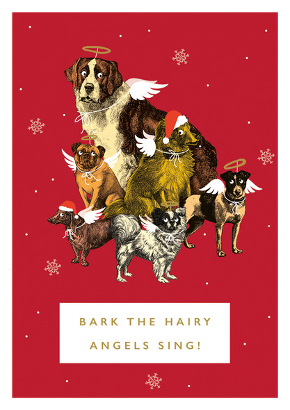 Bark the Hairy Angels Sing