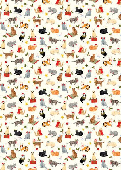 Wrap - Santa Paws Cat 500x700mm