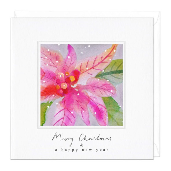 Ink Pink Poinsettia (Unbagged)