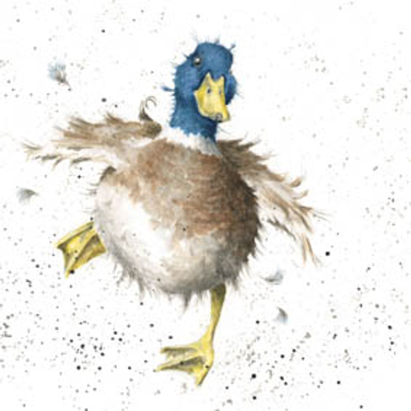 SQ- A Waddle and a Quack (WRE JCS031)