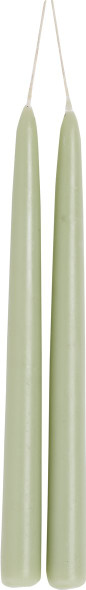 Taper Candles - Sage- Ø2.2 xH24cm-6hr (Box12)