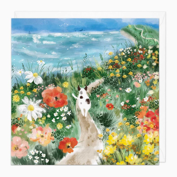 Coastal Tale Cliff Top (unbagged)