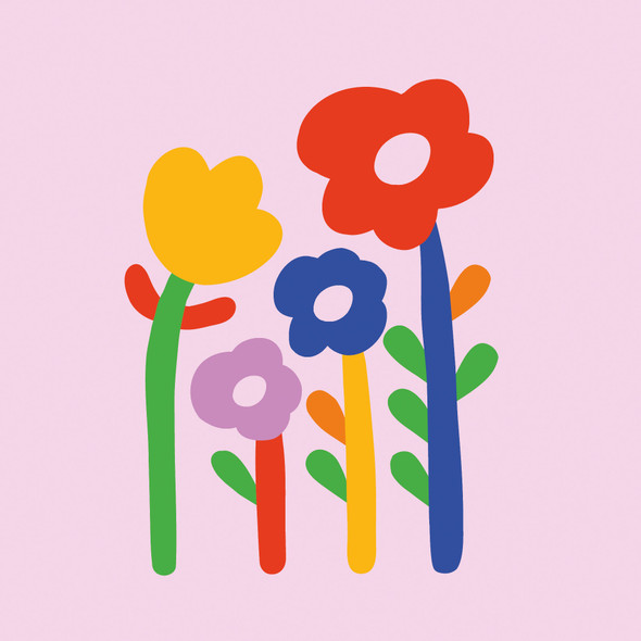 Dominique Vari - Super Flowers Rose