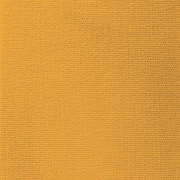 Canvas Orange