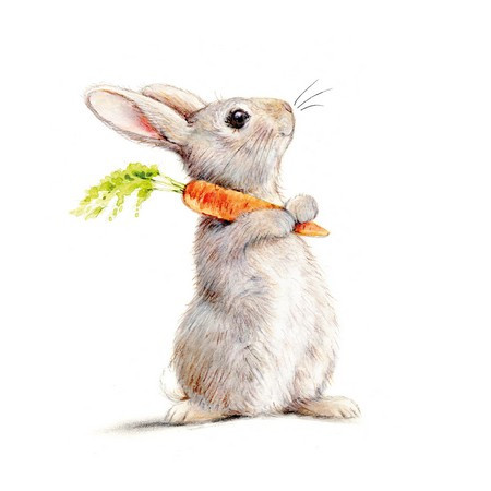 Easter - Rabbit & Carrot