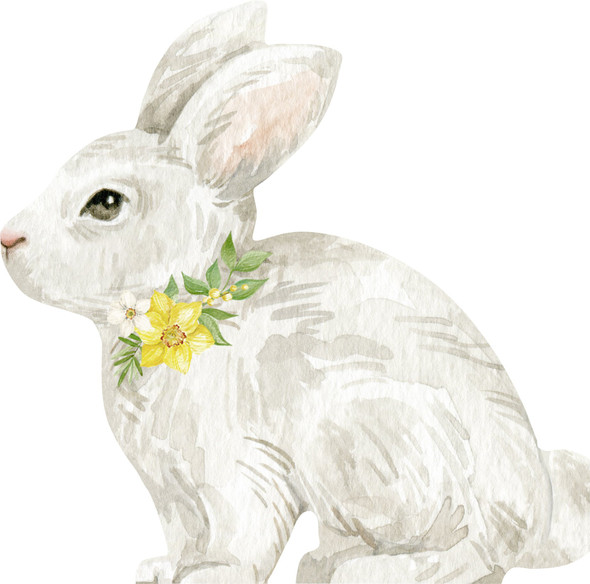 Cut-Out - Easter Bunny (Pkt 12) (IHRL1011000)
