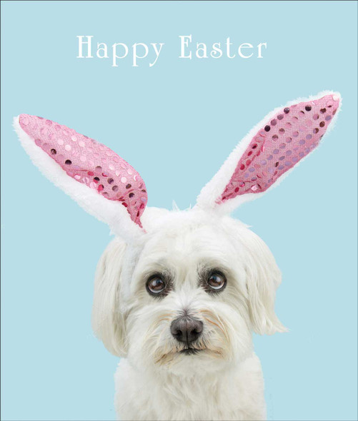 Easter- Puppy Ears