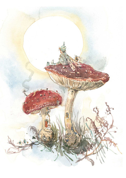 Claire Fletcher - Fairy Friends