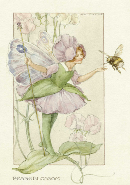 Nostalgia - Peaseblossom Fairy