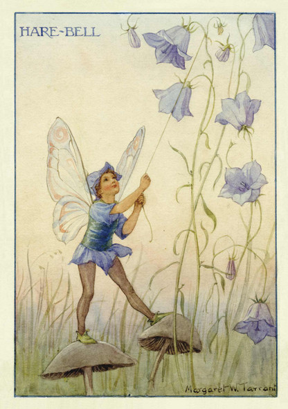 Nostalgia - Harebell Fairy