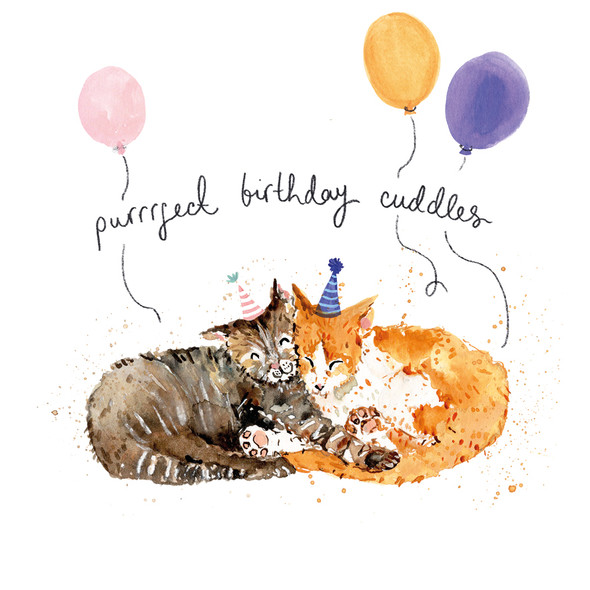 HB- Purrrfect Birthday Cuddles
