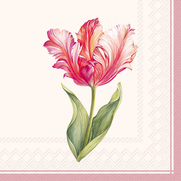 Driselle Tulip Classic-Cocktail