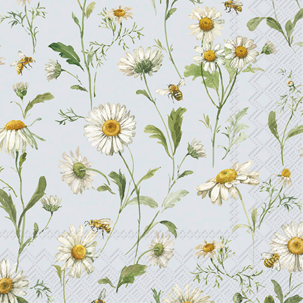 Daisies - Light Blue (IHRL1068049)