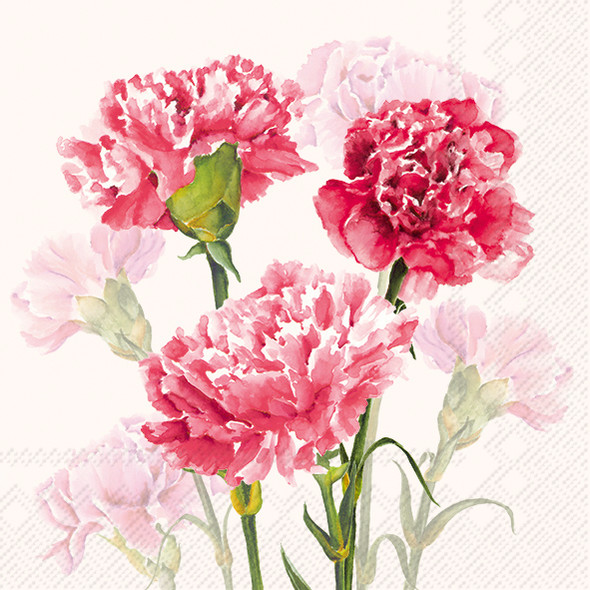 Timeless Red Carnation