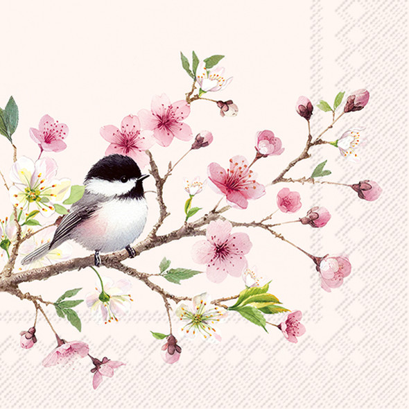 Little Birdie