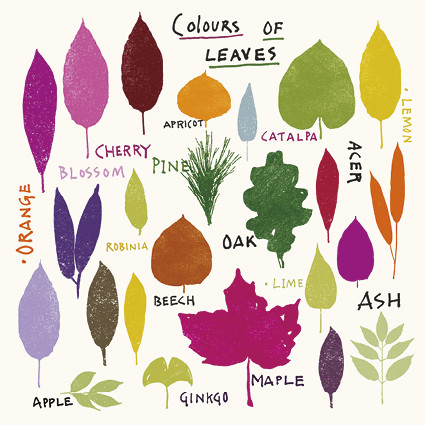 Jenny Frean - Colours of Leaves