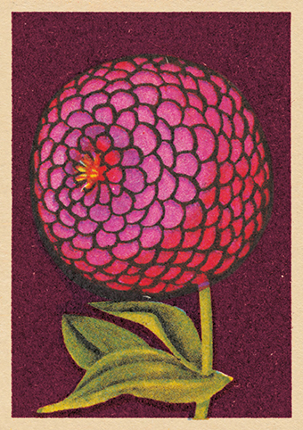 Vintage Matchbox - Allure
