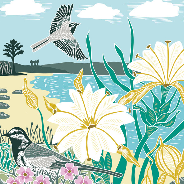 Kate Heiss - Wagtail Shore