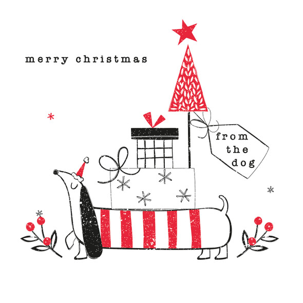 From The Dog (unbagged) (X26BBD WCX26)