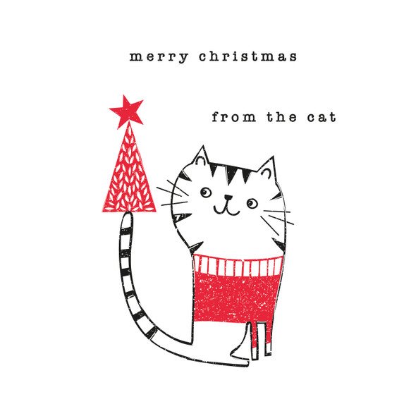 From The Cat (unbagged) (X26BBD WCX27)