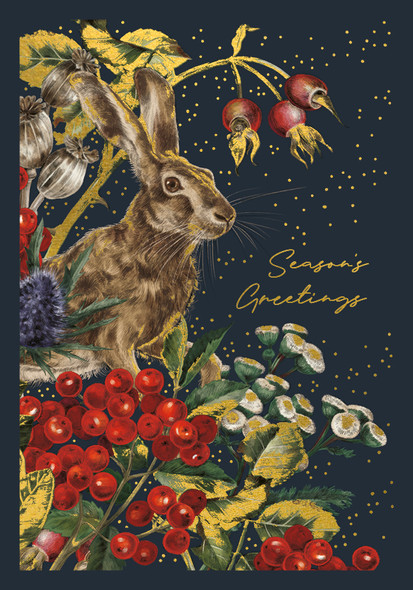 Navy Hare Season's Greetings
