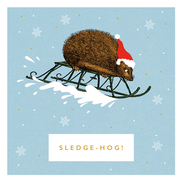 SALE Charity Pack (6) - Sledgehog (SQ130mm Foil) (X26ART XP401)