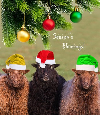 Season's Bleatings (X26PFC X445)