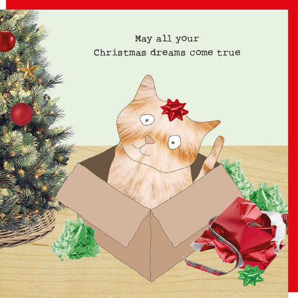 Xmas Dreams
