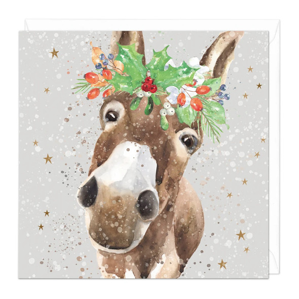 Close up Donkey (Unbagged) (X26WHI Z245)